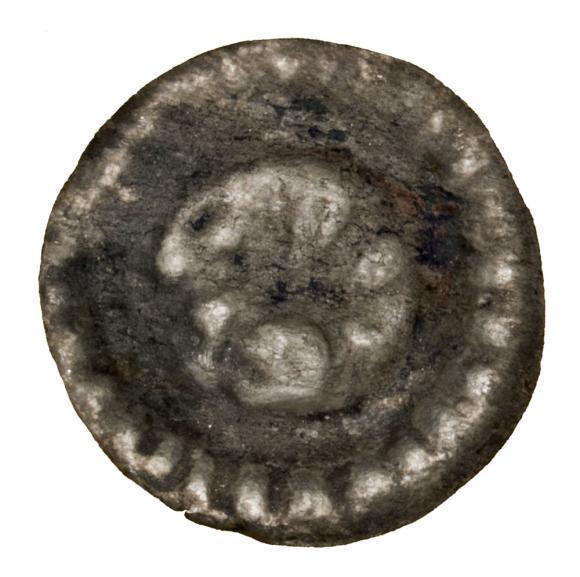 Brakteat 1233-1269 Gryf Sambor II Pomorze Gdańskie (2)