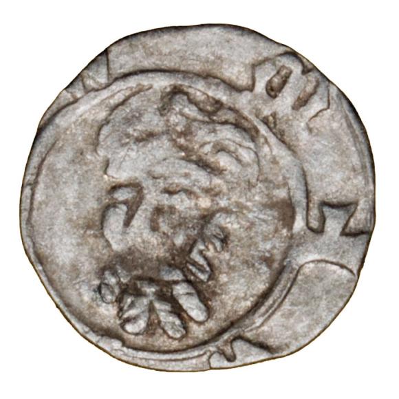 17793 (1)
