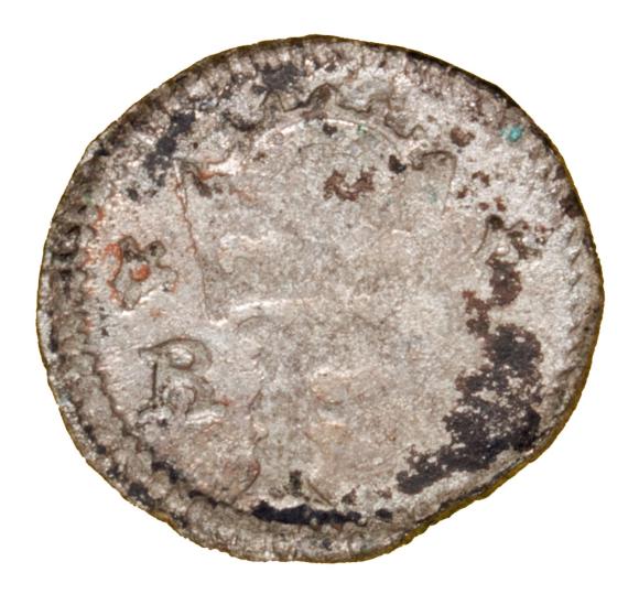 Fenig Ferdynand I Habsburg (1)