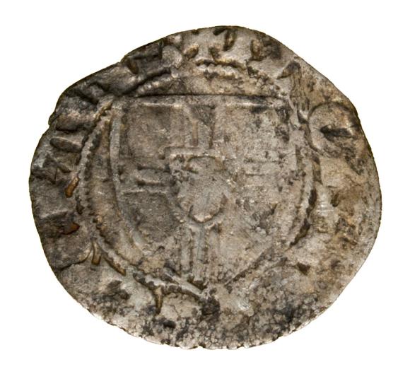 17443 (1)