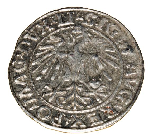 Półgrosz 1548 Zygmunt II August Wilno (2)