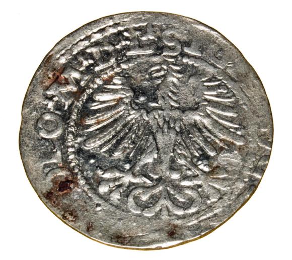 Półgrosz 1564 Zygmunt II August Wilno (2)