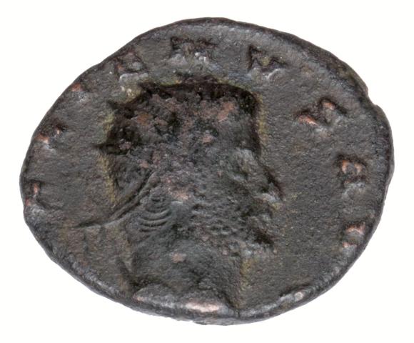 22774 (1)