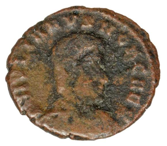 23309 (1)