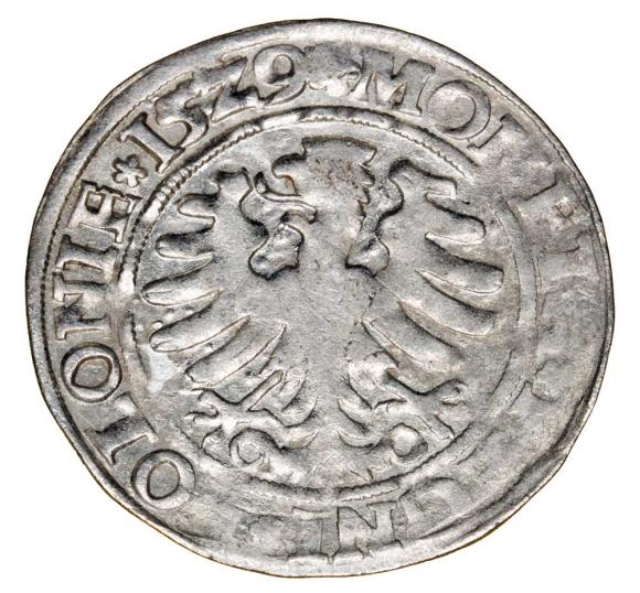 23555 (2)