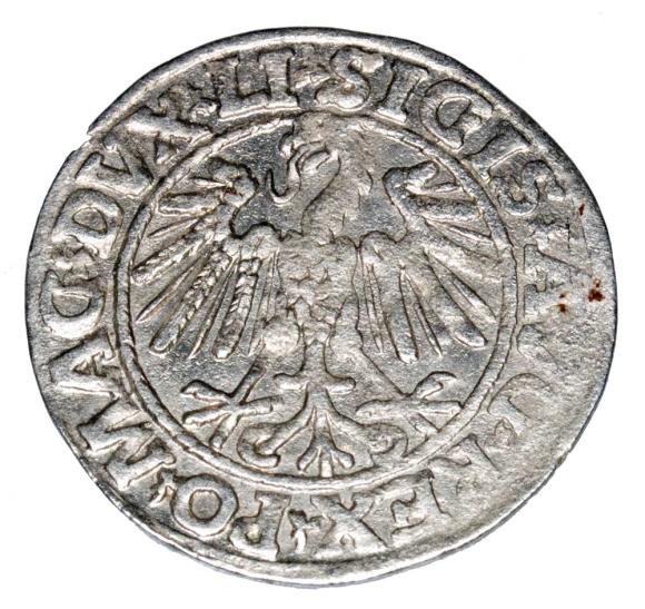 Półgrosz 1547 Zygmunt II August Litwa Wilno (2)