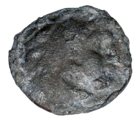 23593 (1)