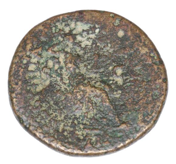 23613 (2)