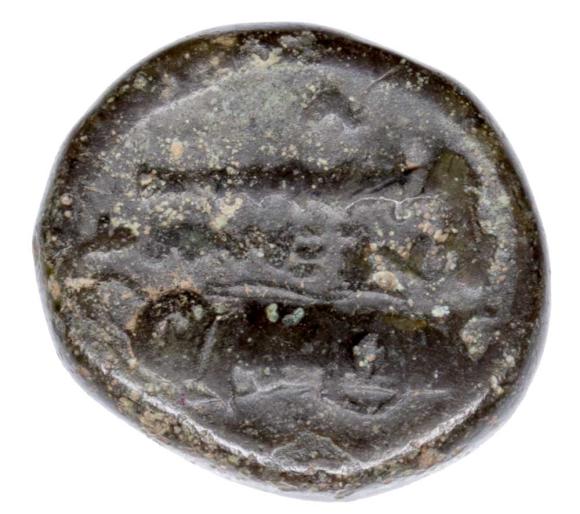 23729 (2)