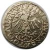 mini: Półgrosz 1557 Zygmunt II August Wilno (2)