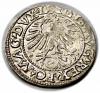 mini: Półgrosz 1562 Zygmunt II August Wilno (2)