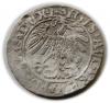 mini: Półgrosz 1558 Zygmunt II August Wilno (2)