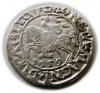 mini: Półgrosz 1559 Zygmunt II August Wilno (1)