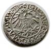 mini: Półgrosz 1559 Zygmunt II August Wilno (2)