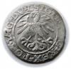 mini: Półgrosz 1561 Zygmunt II August Wilno (2)