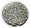 mini: Półgrosz 1561 Zygmunt II August Wilno (2)
