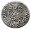 mini: Półgrosz 1561 Zygmunt II August Wilno (2)