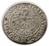 mini: Półgrosz 1564 Zygmunt II August Wilno (2)