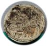mini: Denar 1555 Zygmunt II August Wilno (1)