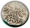 mini: Denar 1557 Zygmunt II August Wilno (2)