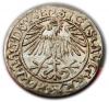mini: Półgrosz 1548 Zygmunt II August Wilno (2)