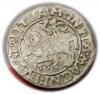 mini: Półgrosz 1556 Zygmunt II August Wilno (1)