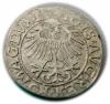 mini: Półgrosz 1557 Zygmunt II August Wilno (2)