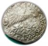 mini: Półgrosz 1557 Zygmunt II August Wilno (2)