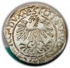 mini: Półgrosz 1559 Zygmunt II August Wilno (2)