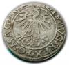 mini: Półgrosz 1561 Zygmunt II August Wilno (2)