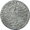 mini: Półgrosz 1562 Zygmunt II August Wilno (2)