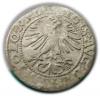 mini: Półgrosz 1564 Zygmunt II August Wilno (2)