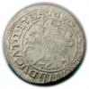 mini: Półgrosz 1564 Zygmunt II August Wilno (1)