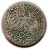 mini: Półgrosz 1565 Zygmunt II August Wilno (2)