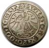 mini: Grosz 1534 Zygmunt I Stary Elbląg (2)