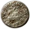 mini: Półgrosz 1547 Zygmunt II August Wilno (2)