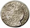 mini: Półgrosz 1549 Zygmunt II August Wilno (2)