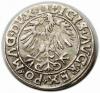 mini: Półgrosz 1556 Zygmunt II August Wilno (2)