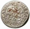 mini: Półgrosz 1558 Zygmunt II August Wilno (1)