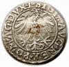 mini: Półgrosz 1558 Zygmunt II August Wilno (2)