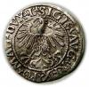 mini: Półgrosz 1559 Zygmunt II August Wilno (2)