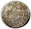 mini: Półgrosz 1558 Zygmunt II August Wilno (2)