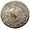 mini: Półgrosz 1561 Zygmunt II August Wilno (2)