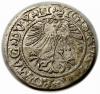 mini: Półgrosz 1561 Zygmunt II August Wilno (2)