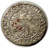 mini: Półgrosz 1562 Zygmunt II August Wilno (2)