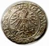 mini: Półgrosz 1563 Zygmunt II August Wilno (2)