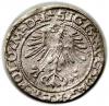 mini: Półgrosz 1564 Zygmunt II August Wilno (2)