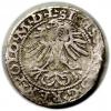 mini: Półgrosz 1564 Zygmunt II August Wilno (2)