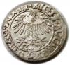 mini: Półgrosz 1556 Zygmunt II August Wilno (2)