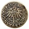 mini: Grosz 1537 Albrecht Hohenzollern Księstwo Pruskie Królewiec (2)